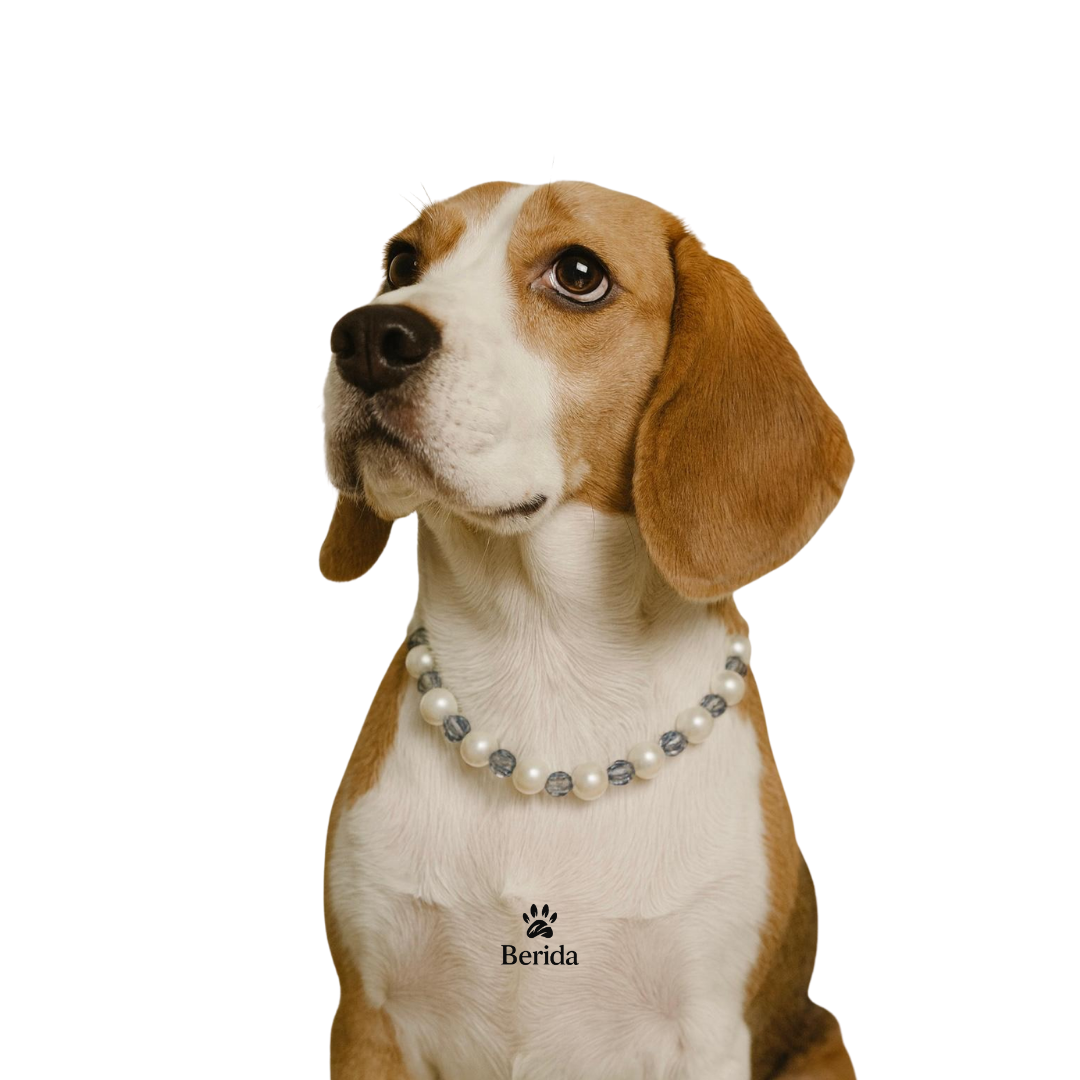 Moonlight Pearl - Premium İnci Seti