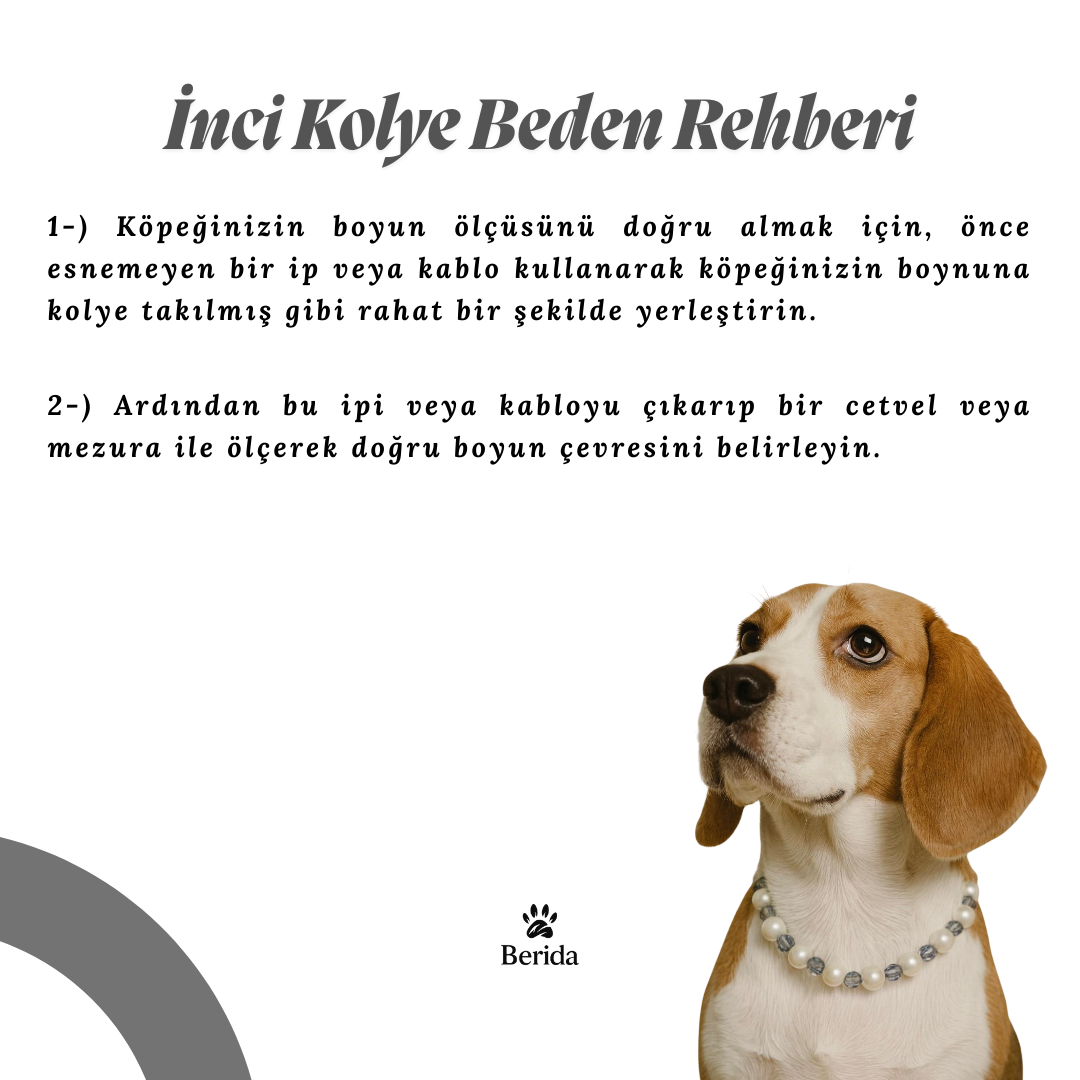 Moonlight Pearl - Premium İnci Seti - Görsel 4