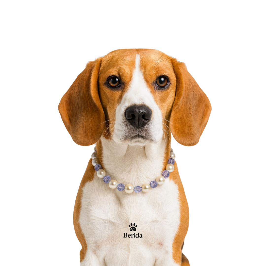 Ocean Mist - Premium İnci Seti