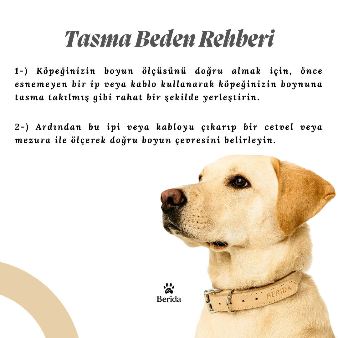 Aureum - Premium Tasma & Kayış Seti (Kayıp Karşıtı İsimlik Hediyeli) - Görsel 5