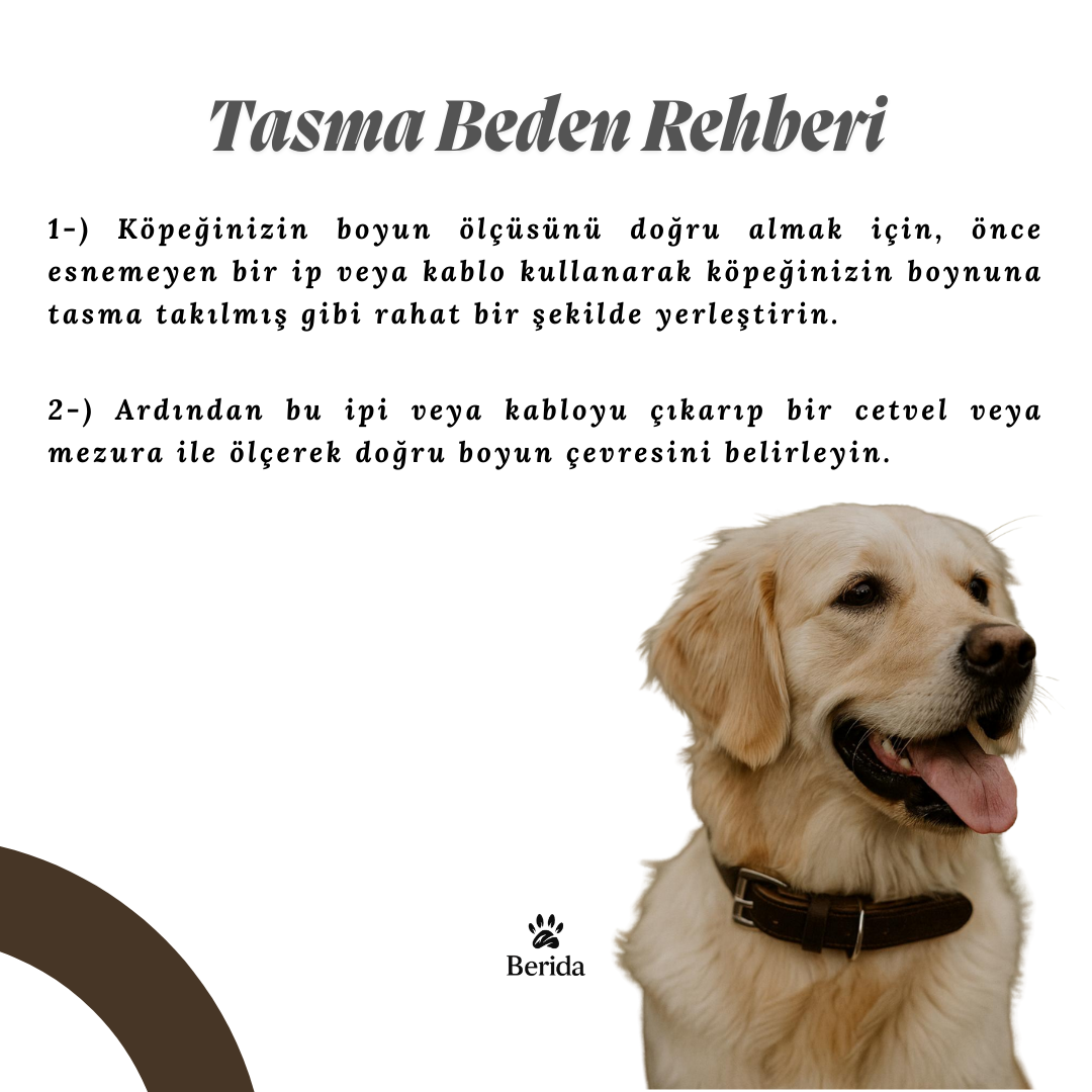 Obscura - Premium Tasma & Kayış Seti (Kayıp Karşıtı İsimlik Hediyeli) - Görsel 5