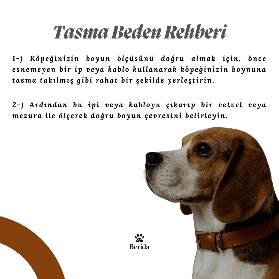 Sahara - Premium Tasma & Kayış Seti (Kayıp Karşıtı İsimlik Hediyeli) - Görsel 5