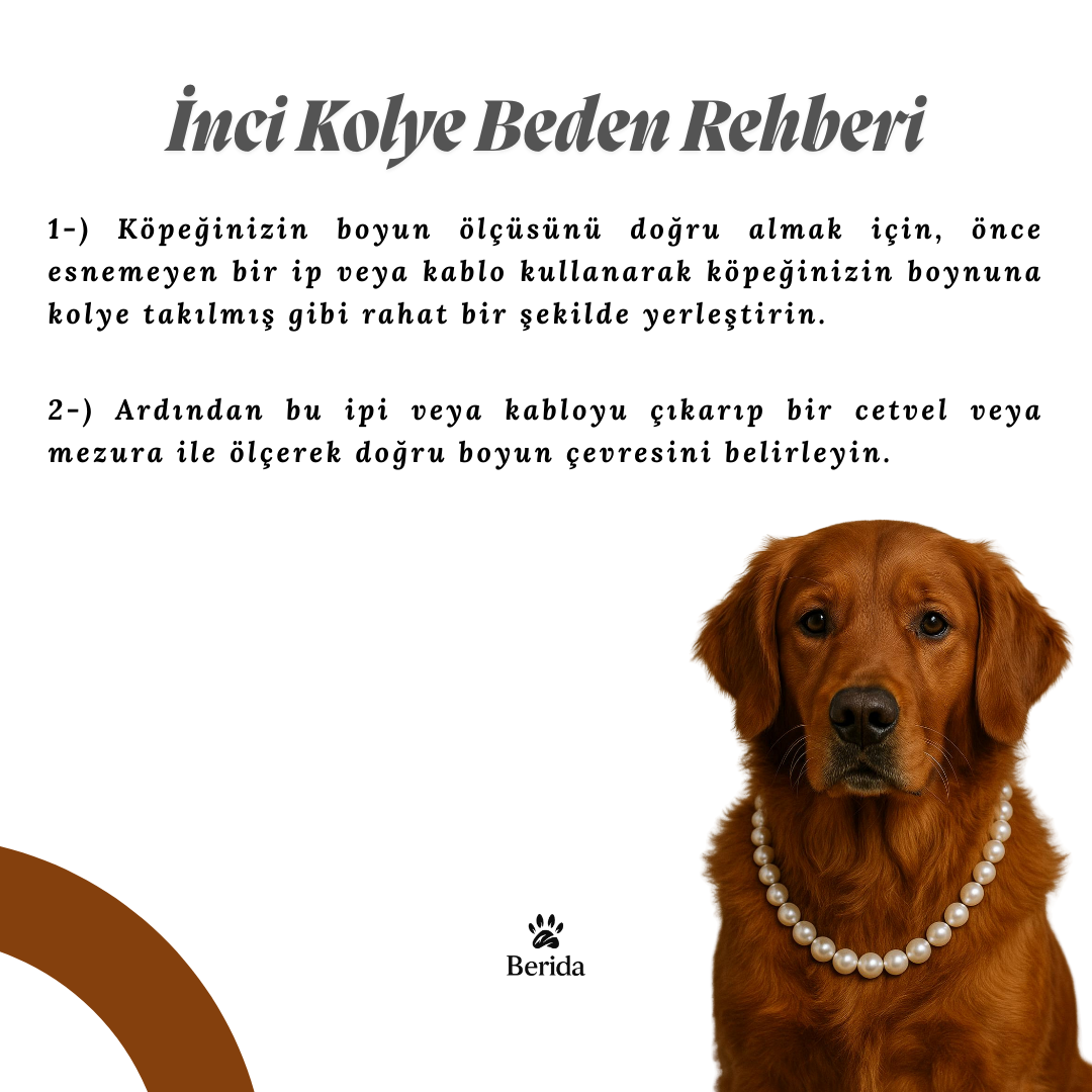 Ivory Elegance - Premium İnci Seti - Görsel 4