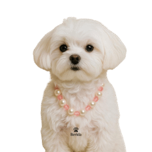 Rose Mist - Premium İnci Seti