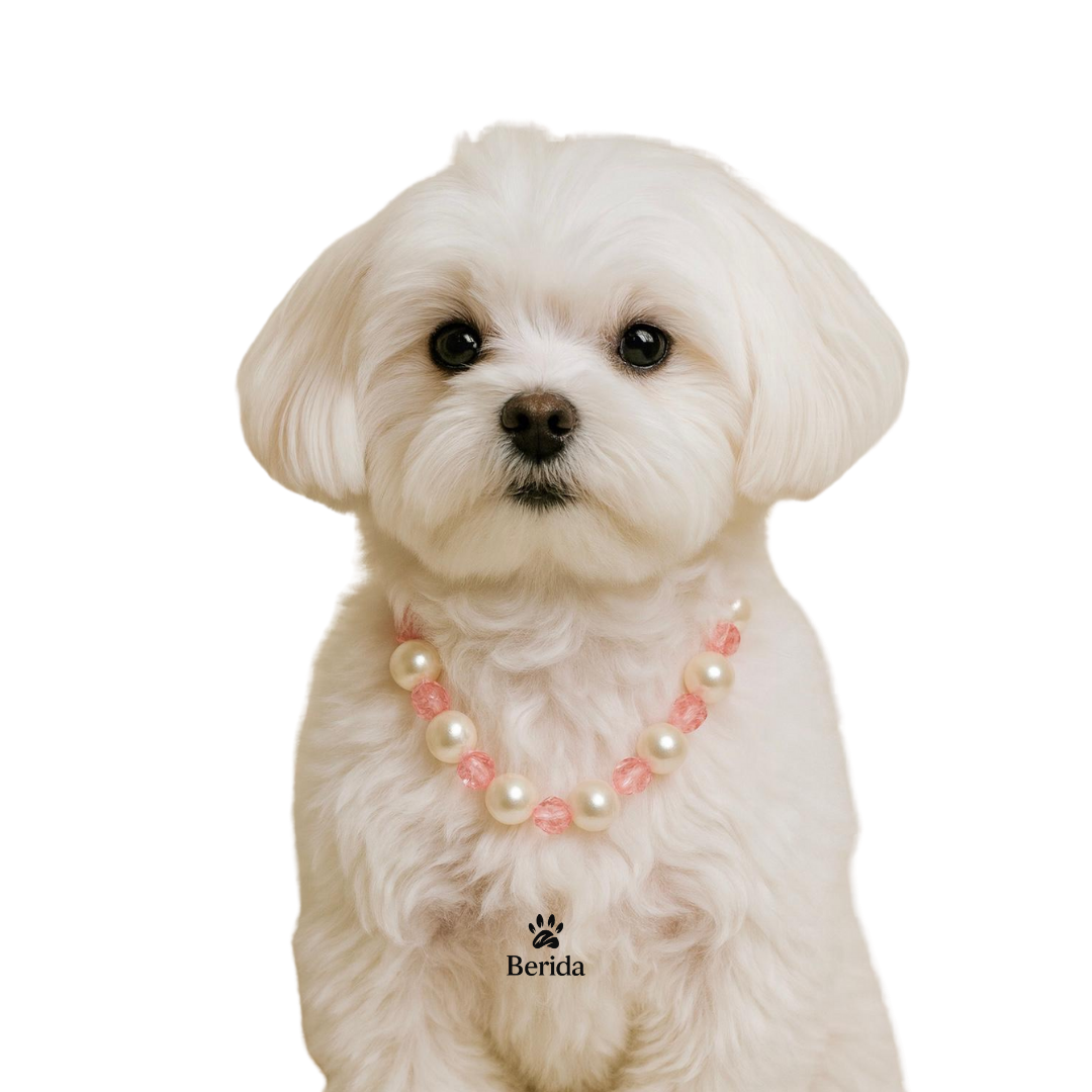 Rose Mist - Premium İnci Seti