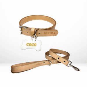 Aureum - Premium Tasma & Kayış Seti (Kayıp Karşıtı İsimlik Hediyeli)